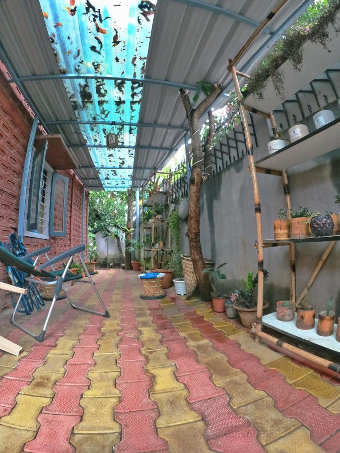Stargaze Backpackers Hostel グワーハーティー エクステリア 写真