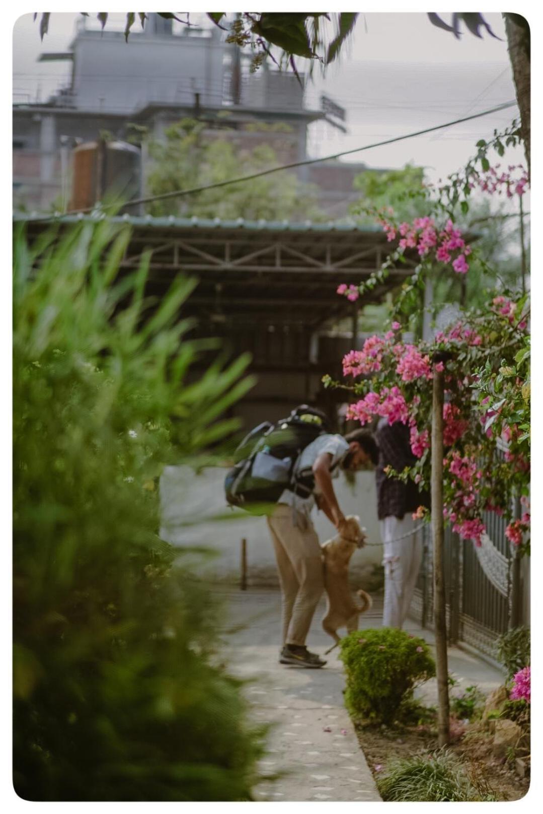 Stargaze Backpackers Hostel グワーハーティー エクステリア 写真